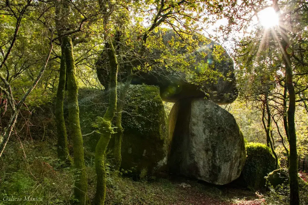Bosque gallego con un dolmen, la pedra filga, bajo la luz del sol. Musgo verde cubre los árboles y las rocas.