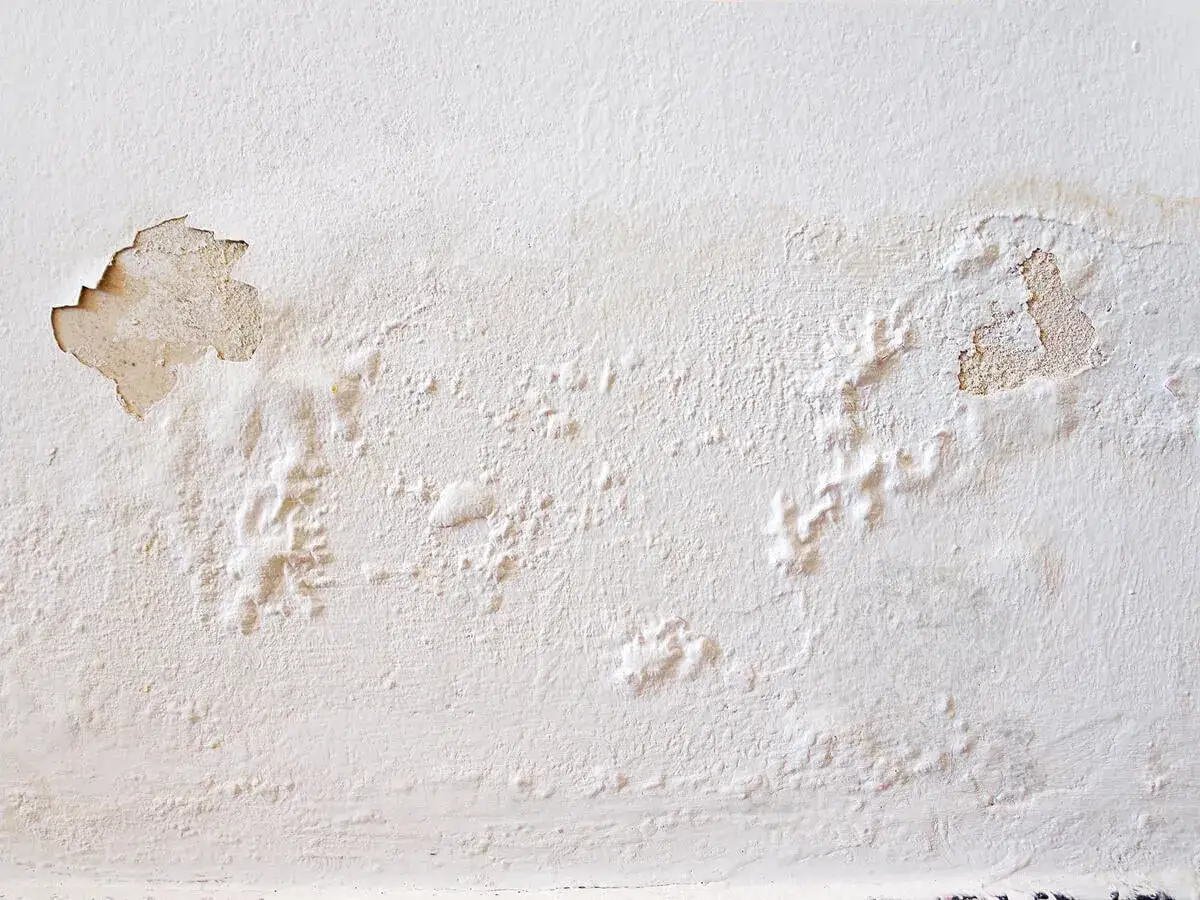 Abblätternde Farbe und Blasenbildung an einer weißen Wand deuten darauf hin, dass man eine feuchte Wand erkennen kann.