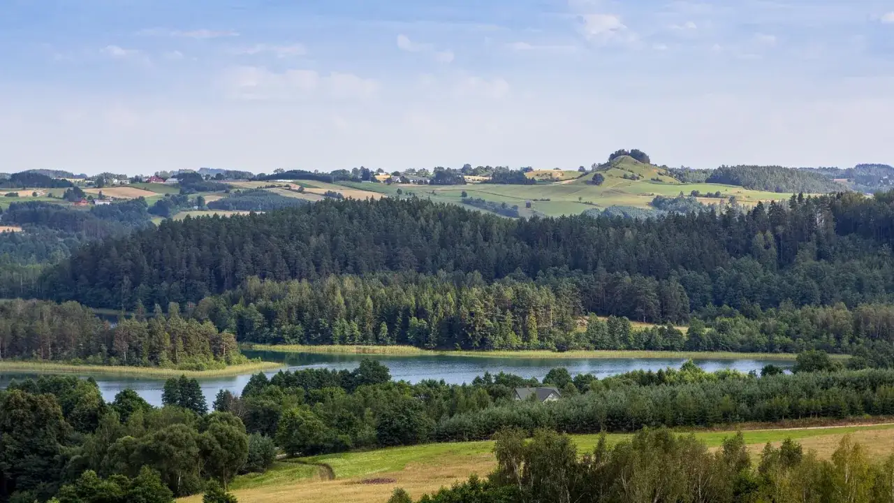 Malowniczy krajobraz z lasami i wzgórzami, gdzieś w oddali widać jezioro. To właśnie tam jest Jezioro Hańcza, najgłębsze w Polsce.