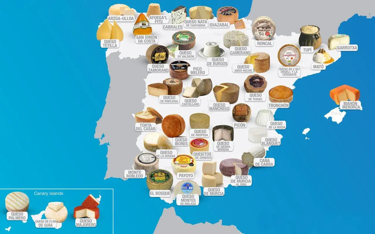 Mapa de quesos españoles, mostrando la diversidad de cuantos quesos hay en Italia, con nombres como Manchego, Tetilla y Mahón Menorca.