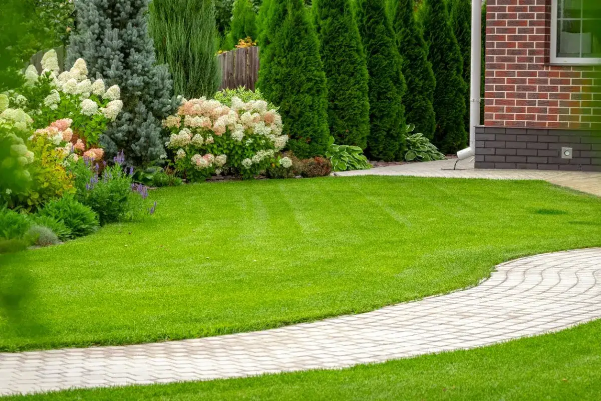 Frisch verlegter Rollrasen nach dem alten Rasen entfernen. Kosten f&uuml;r Rollrasen verlegen im Garten.