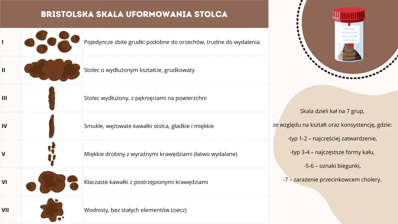 Bristolską skalę uformowania stolca przedstawia 7 typ&oacute;w kału, od twardych grudek (typ I) po wodnisty (typ VII).