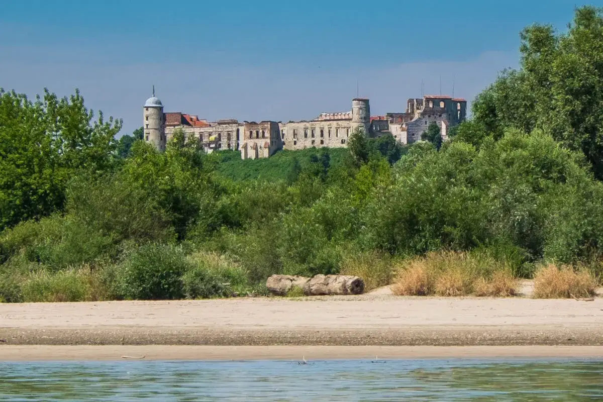 Zamek w Janowcu g&oacute;ruje nad zielonymi wzg&oacute;rzami, otoczony bujną roślinnością. Widok z rzeki na ruiny zamku.