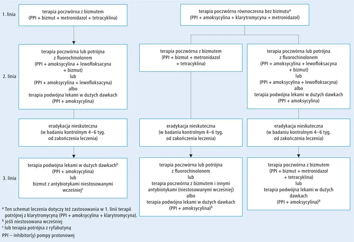 Schemat leczenia **Helicobacter pylori**: różne linie terapii, w tym poczwórna z bizmutem, z fluorochinolonem, czy podwójna.