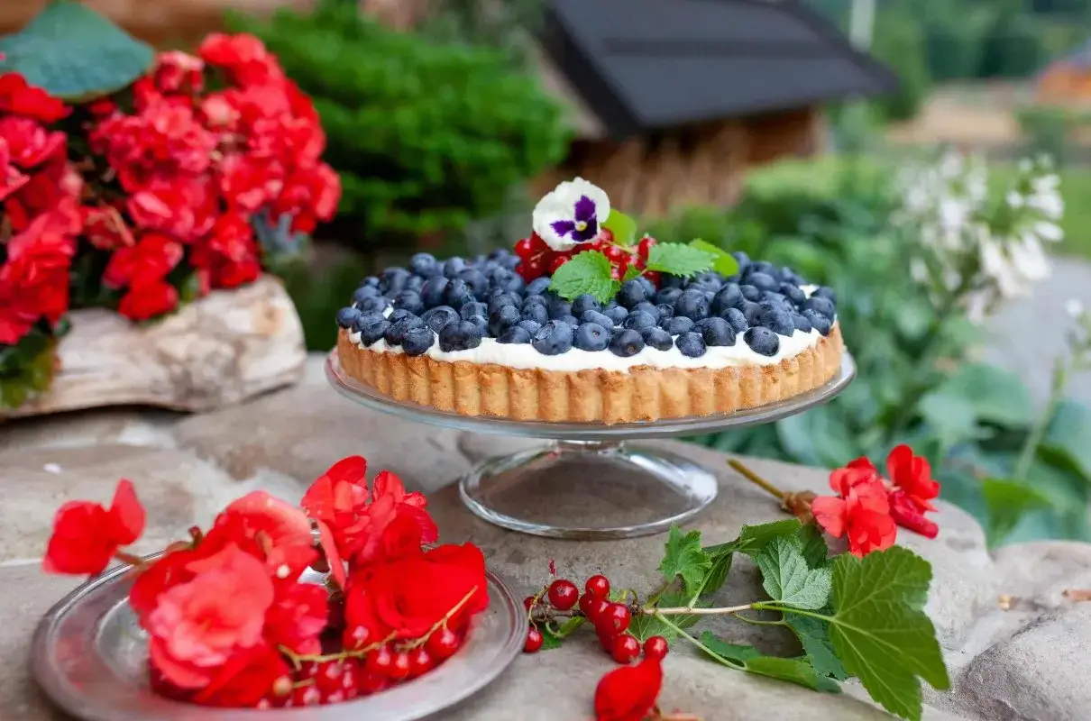 Tarta z kremem z białej czekolady, obficie udekorowana borówkami i czerwonymi porzeczkami, prezentuje się apetycznie na tle letniej zieleni i czerwonych kwiatów.