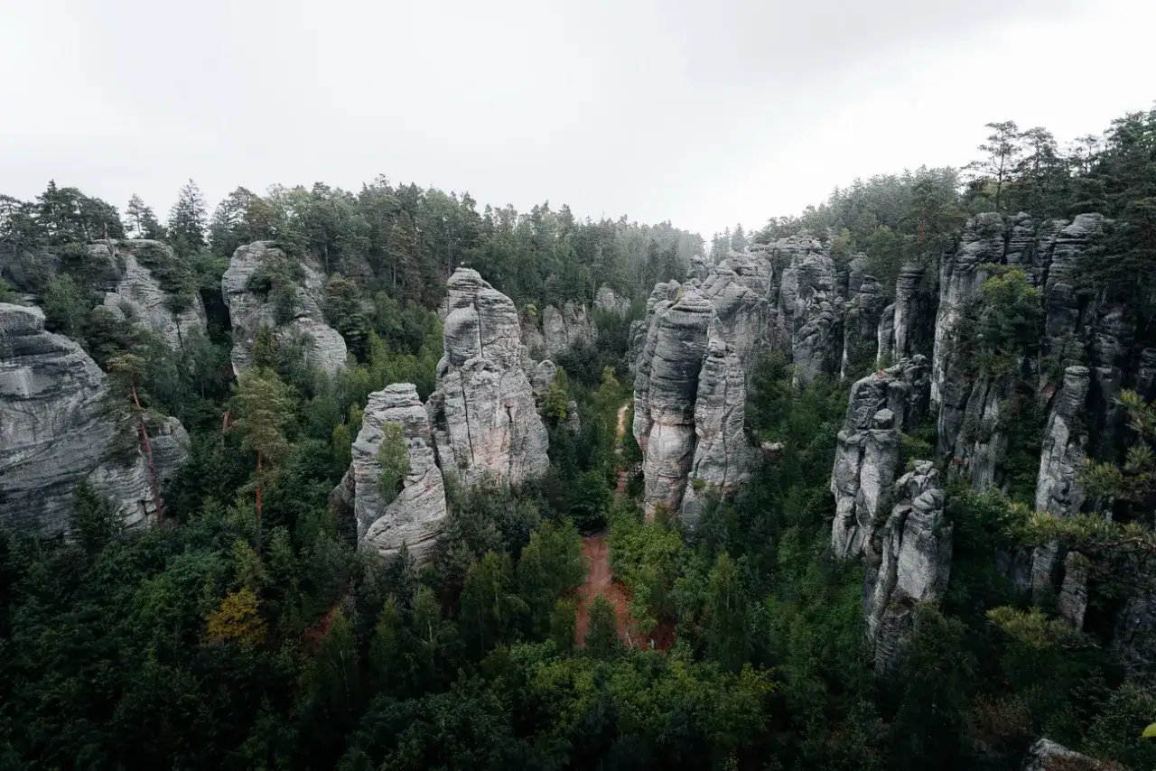 Steile Felsformationen ragen aus einem dichten Wald empor. Ein Pfad schl&auml;ngelt sich durch das Labyrinth der Sandsteint&uuml;rme im **Česk&yacute; r&aacute;j**.