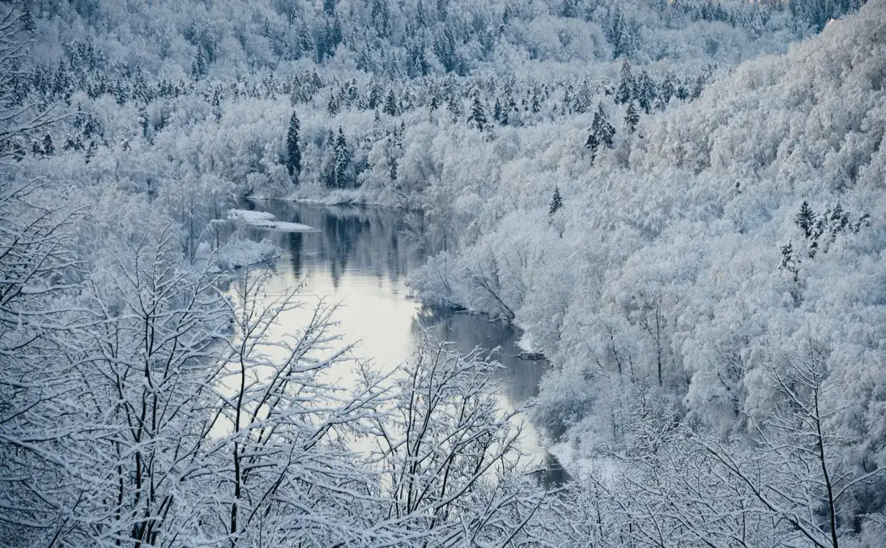 Ein Fluss schlängelt sich durch eine verschneite Landschaft in Lettland. Bäume, bedeckt mit glitzerndem Schnee, säumen das Ufer und bilden eine märchenhafte Winterkulisse.