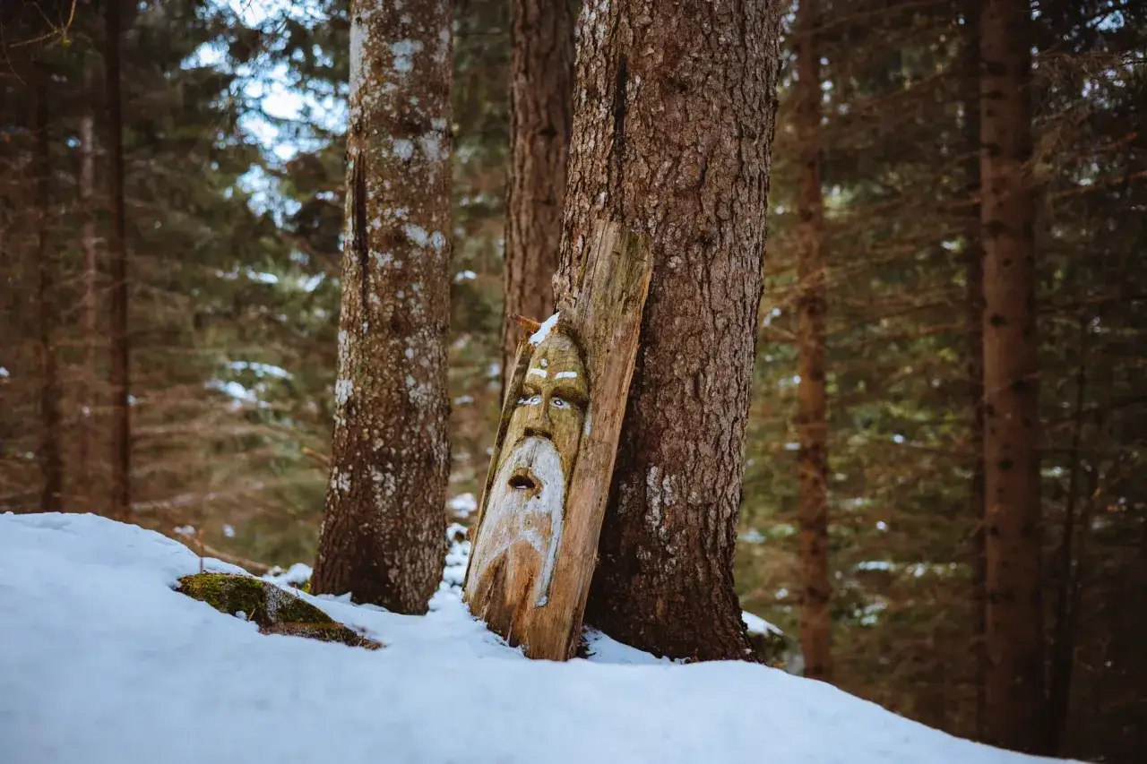 Volto di legno intagliato, custode del sentiero degli gnomi nel bosco innevato.