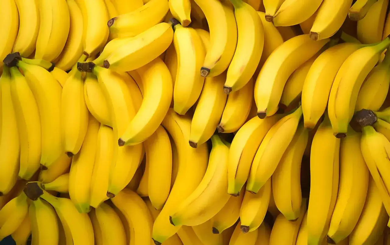 Mnóstwo dojrzałych, żółtych bananów. Czy zastanawiałeś się, ile białka ma banan? To świetna przekąska!