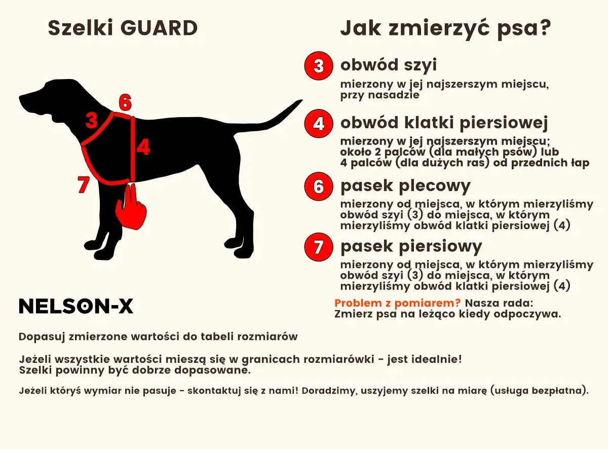 Ilustracja pokazuje, jak dobrać profesjonalne szelki dla psa. Wskazówki dotyczące pomiaru obwodu szyi, klatki piersiowej i pasków.