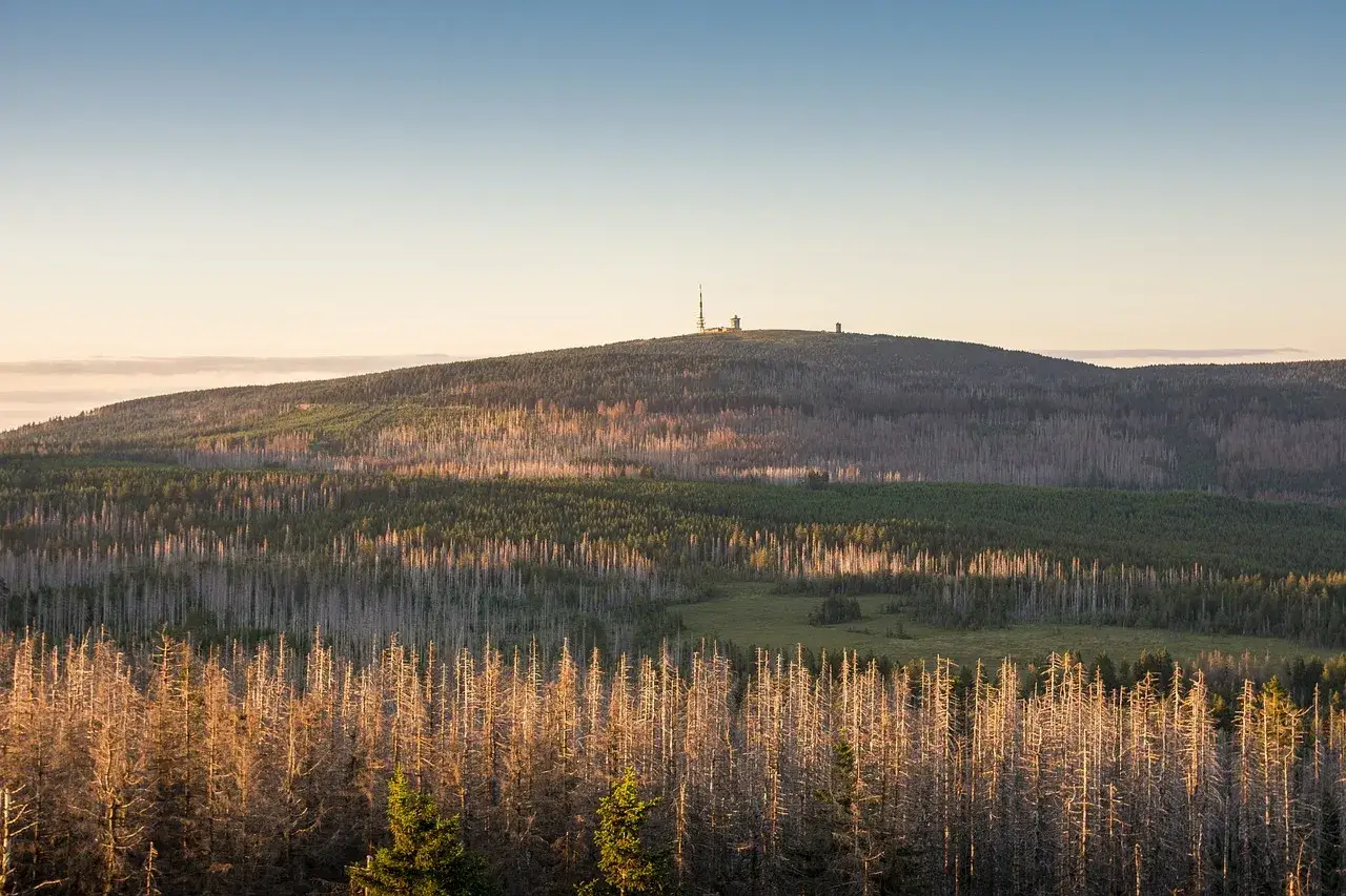Sonnenuntergang über dem Brocken. Ein toller Ort zum **Wernigerode wandern**, mit Blick auf kahle und grüne Wälder.
