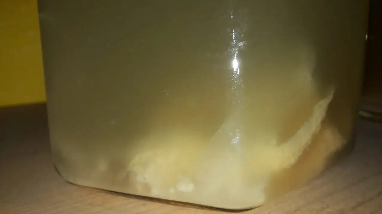 Ein Glas mit trüber Flüssigkeit und Fruchtstücken, bereit, um essig selber machen.