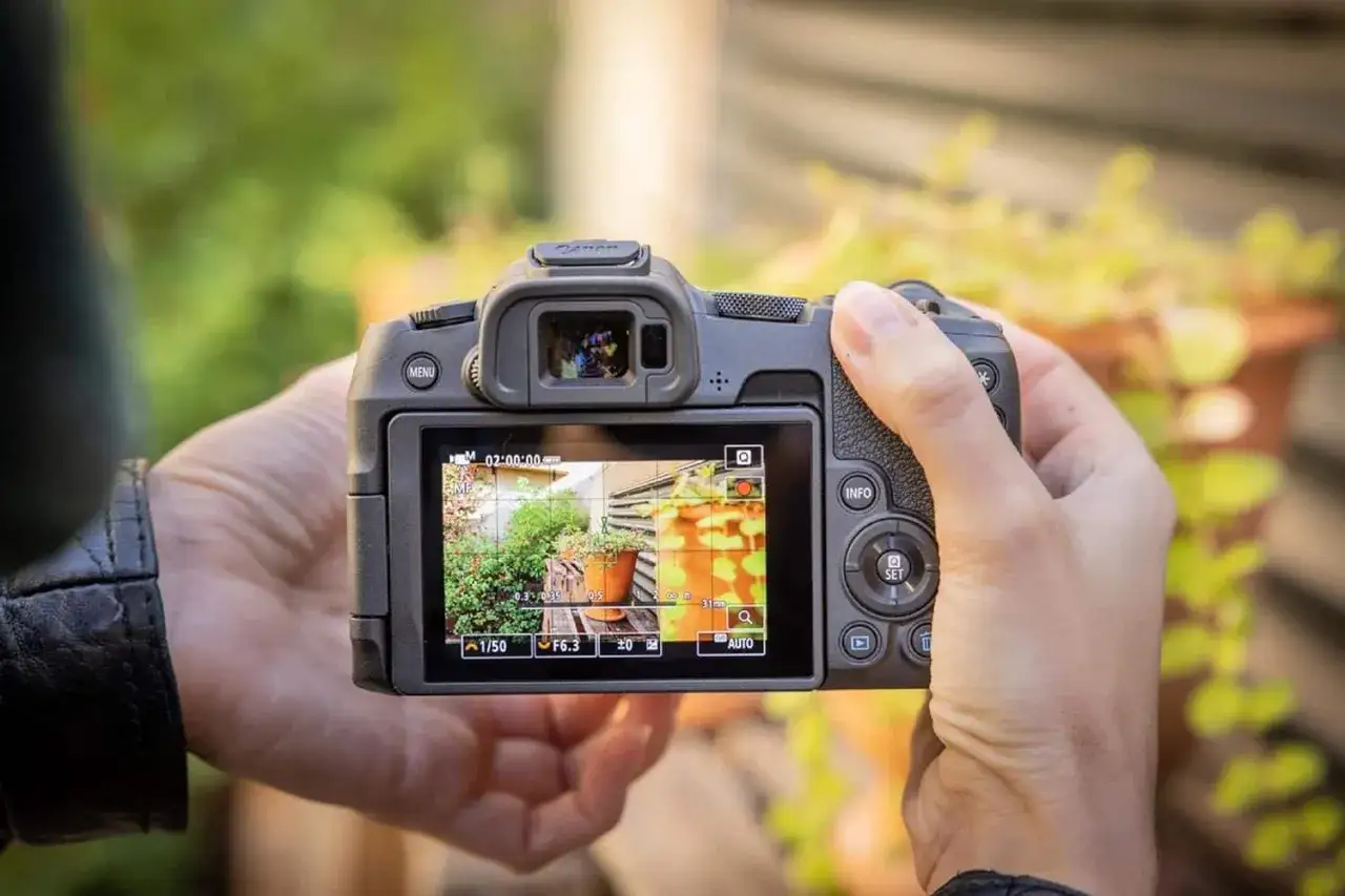 Test du Canon R8 en ext&eacute;rieur, l'&eacute;cran affiche des plantes en pot.