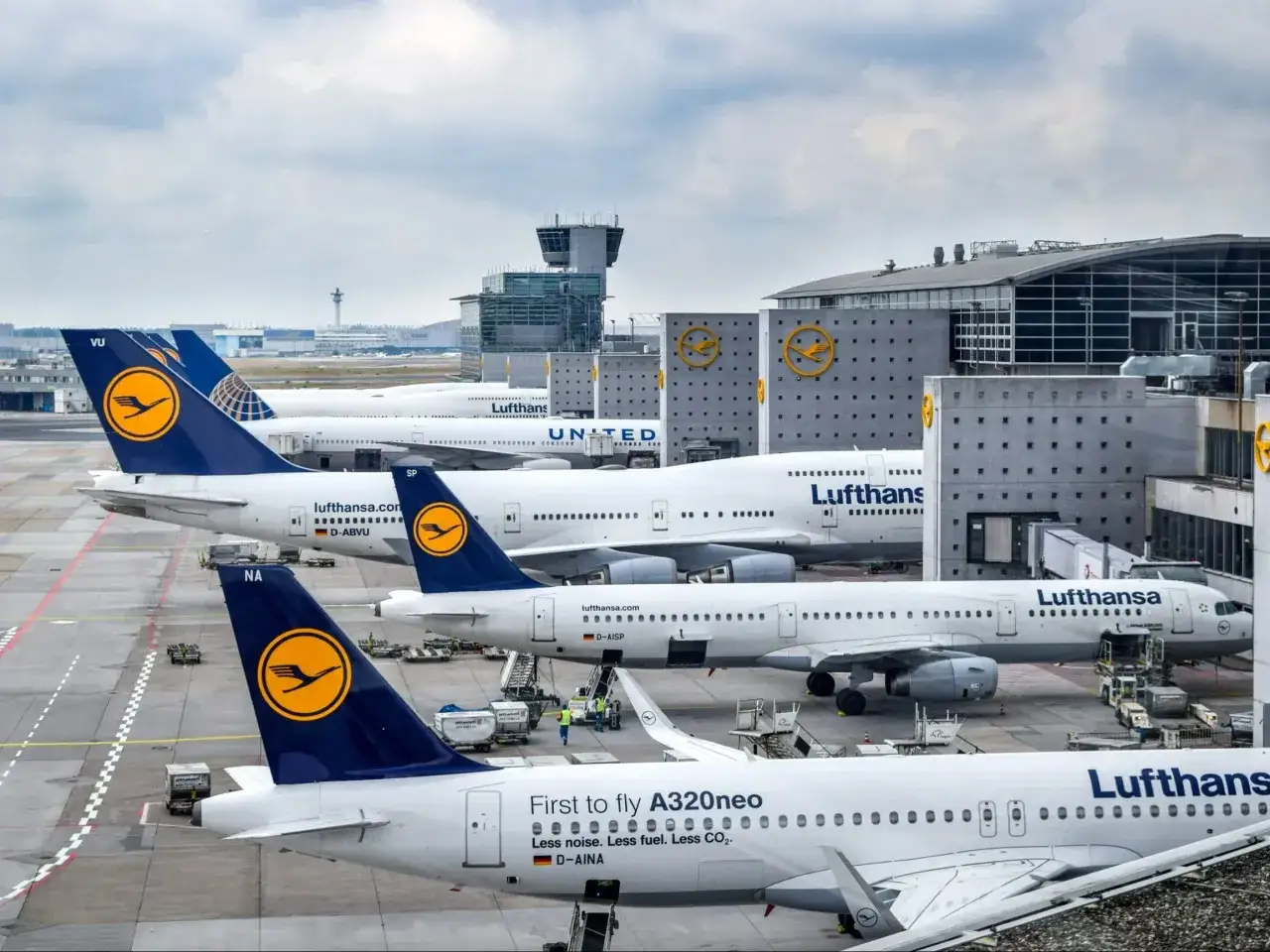 Samoloty linii Lufthansa i United na płycie lotnisko Frankfurt nad Menem. W tle wieża kontroli lotów.
