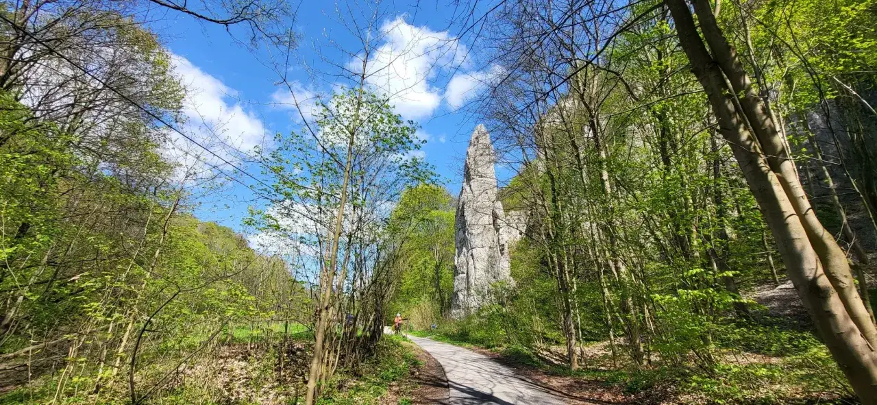 Malownicza droga przez Ojcowski Park Narodowy rowerem, wśród zieleni i skalnych ostańców.