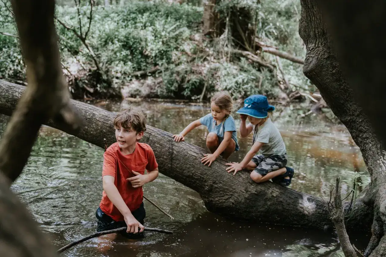 Drei Kinder haben Spa&szlig; beim Wandern und spielen im Wasser auf einem Baumstamm.