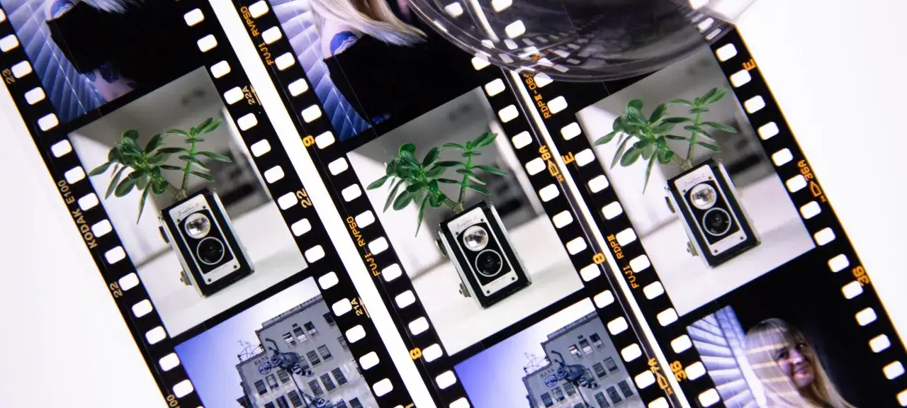 Film strips showcase a vintage camera with a plant, a building, and a woman's face. A visual comparison of Ektachrome vs Velvia.