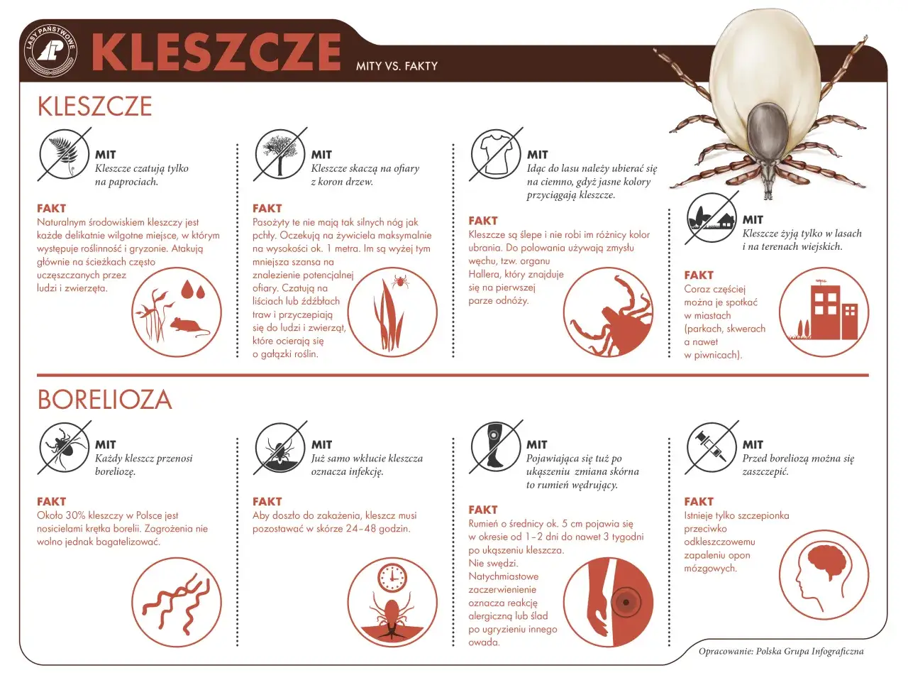 Różnice objawy borelioza kleszczowe zapalenie mózgu