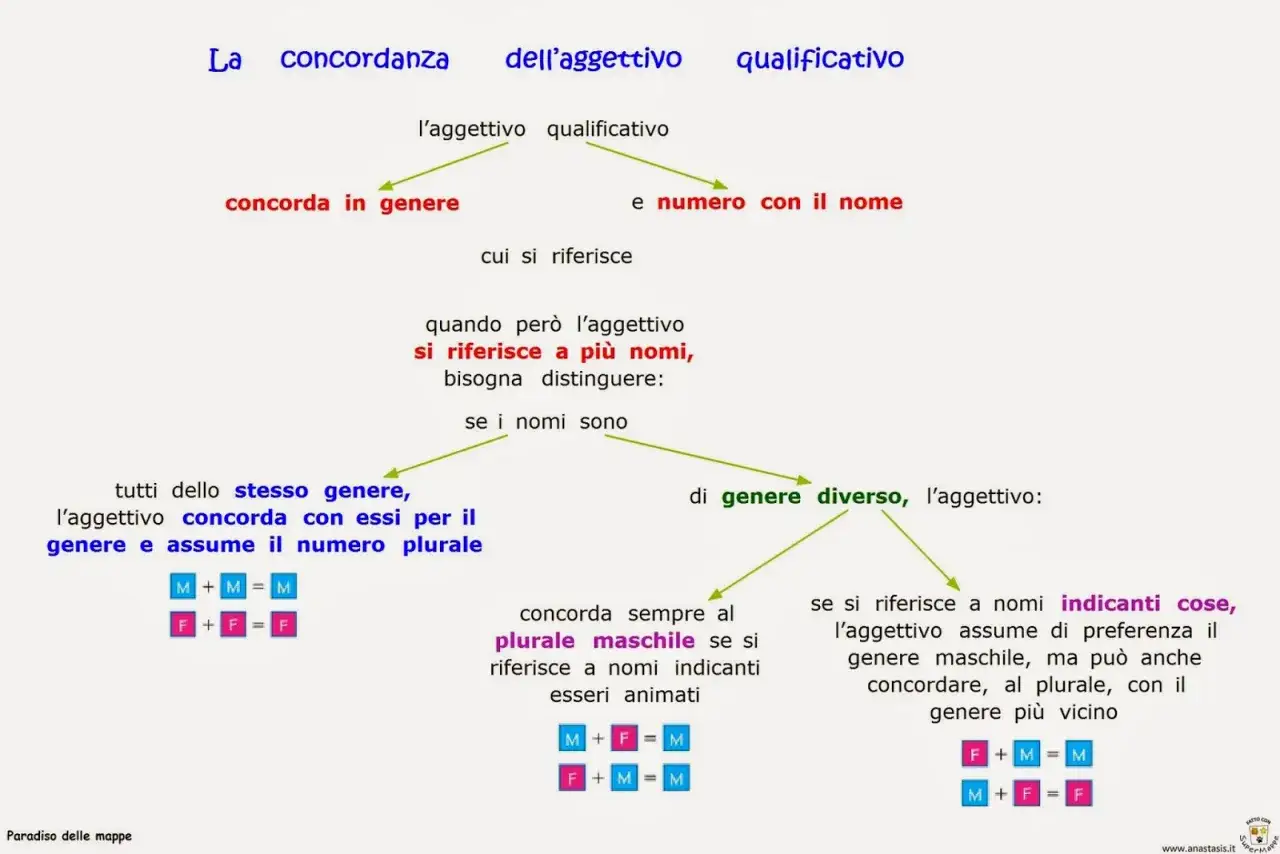 Schema sulla concordanza dell'aggettivo qualificativo. Spiega come gli aggettivi si accordano in genere e numero con i nomi, con esempi pratici.