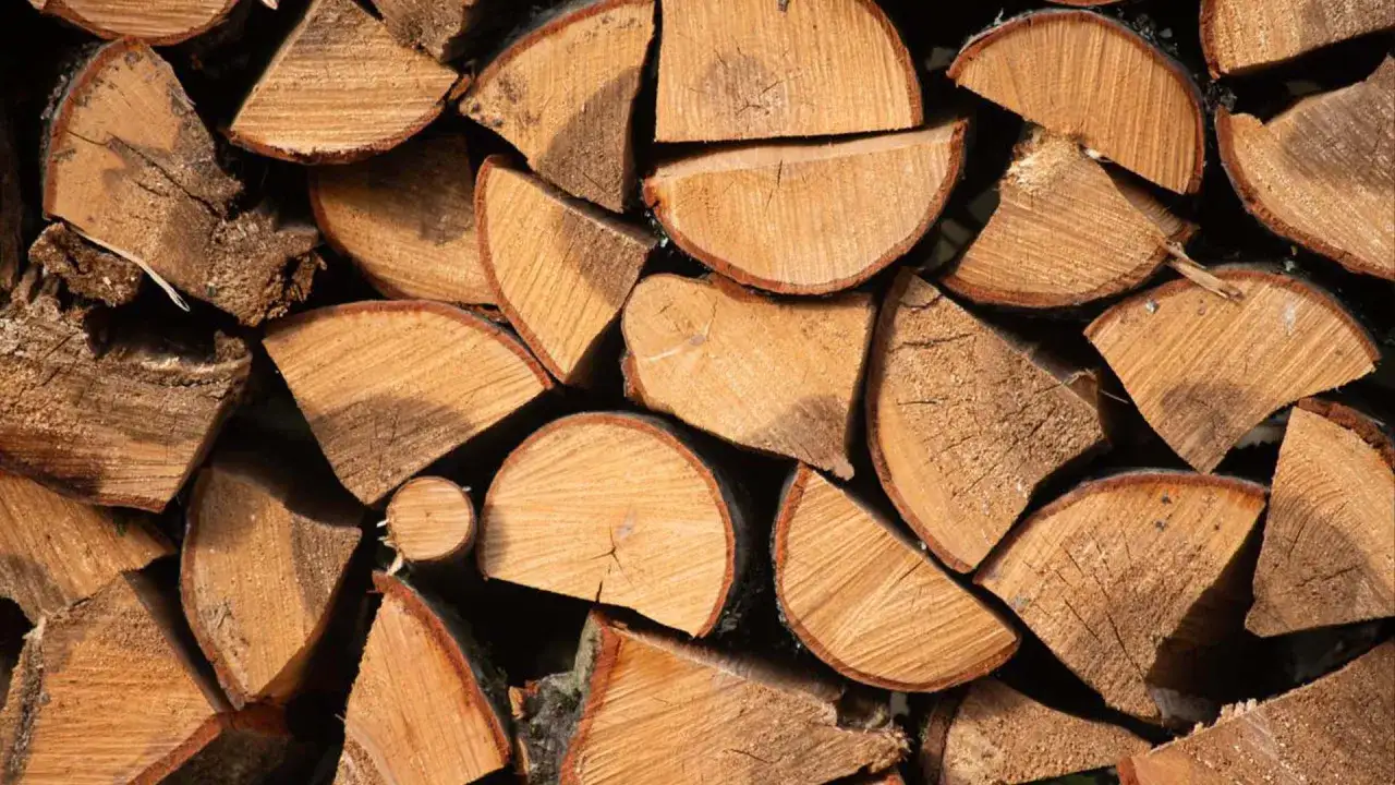 Stapel von gespaltenem Holz, bereit für den Winter. Man erkennt deutlich die Jahresringe, die auf die Herkunft aus eschen hartholz oder weichholz schließen lassen.