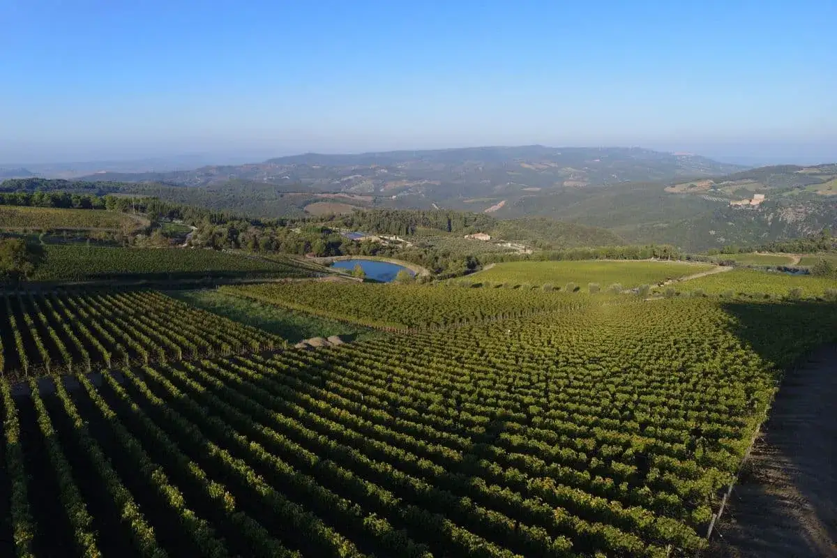Vigneti rigogliosi nel Val d'Orcia, con un laghetto azzurro e dolci colline sullo sfondo. Il paesaggio evoca la promessa di un ottimo vino.