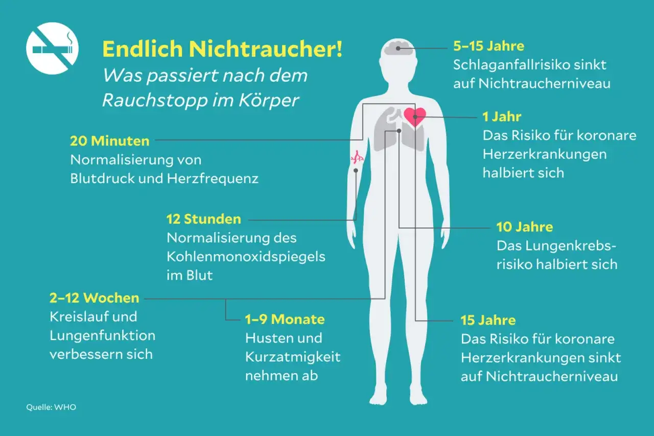 Die Grafik zeigt die **Vorteile** des Nichtrauchens: Nach dem Rauchstopp verbessern sich Blutdruck, Herzfrequenz, Lungenfunktion und das Risiko f&uuml;r Krankheiten sinkt.