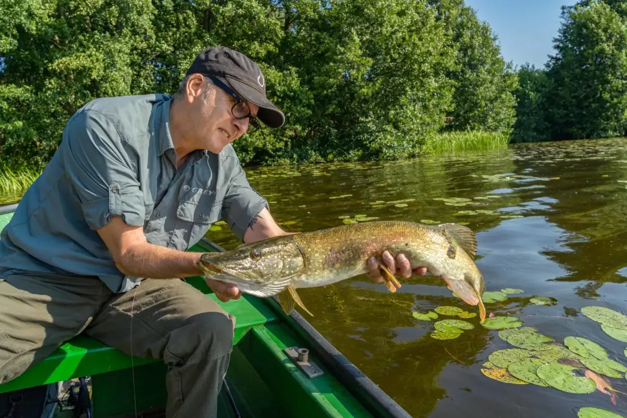 Ein Angler präsentiert stolz seinen Fang: ein prächtiger Hecht, gefangen beim Hechtangeln im Sommer auf einem ruhigen Gewässer.