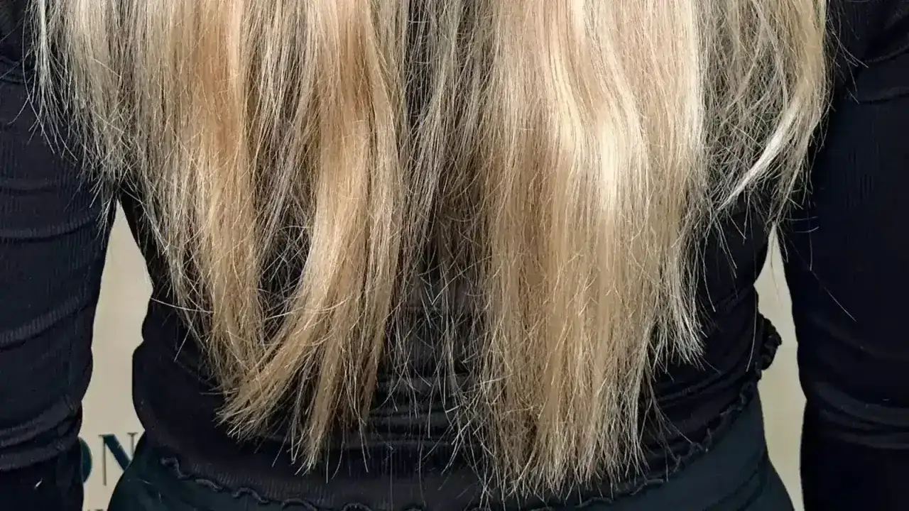 Langes, blondes Haar mit sichtbaren krisseligen Haaren nach Blondierung. Die Spitzen wirken trocken und ungleichm&auml;&szlig;ig.