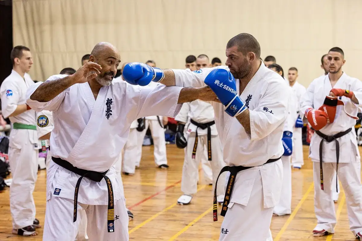 Tv&aring; m&auml;n i vita gi tr&auml;nar karate combat. En med bl&aring;a handskar blockerar ett slag fr&aring;n den andra.