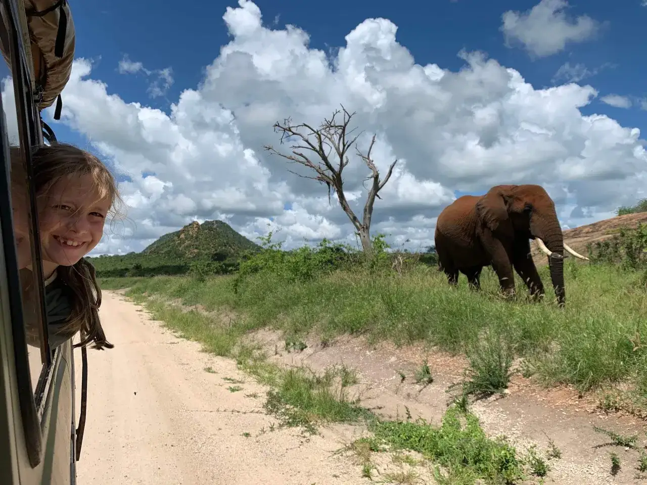 Bambina sorridente sporge dal finestrino di un fuoristrada in Kenya, mentre un elefante cammina nella savana.