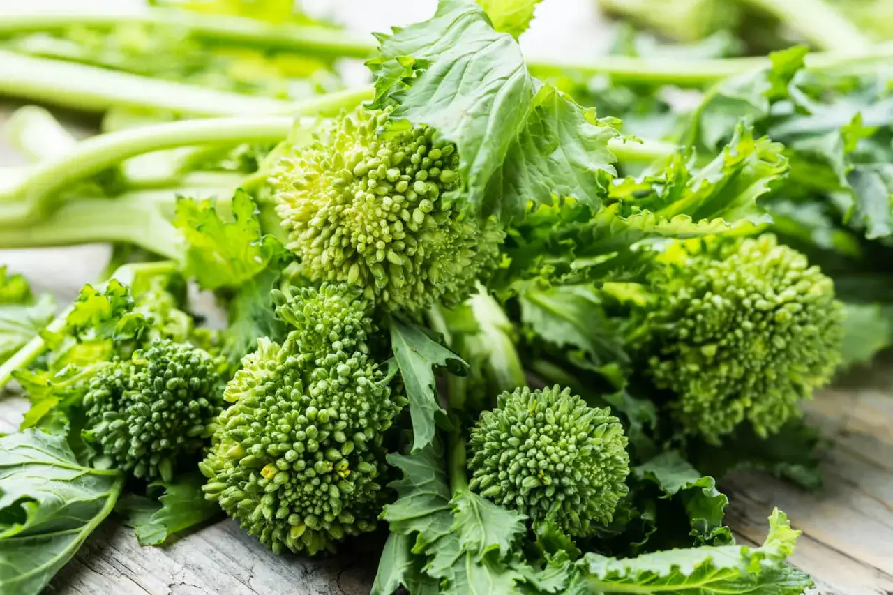 Frische cime di rapa mit ihren charakteristischen R&ouml;schen und gr&uuml;nen Bl&auml;ttern liegen auf rustikalem Holz.