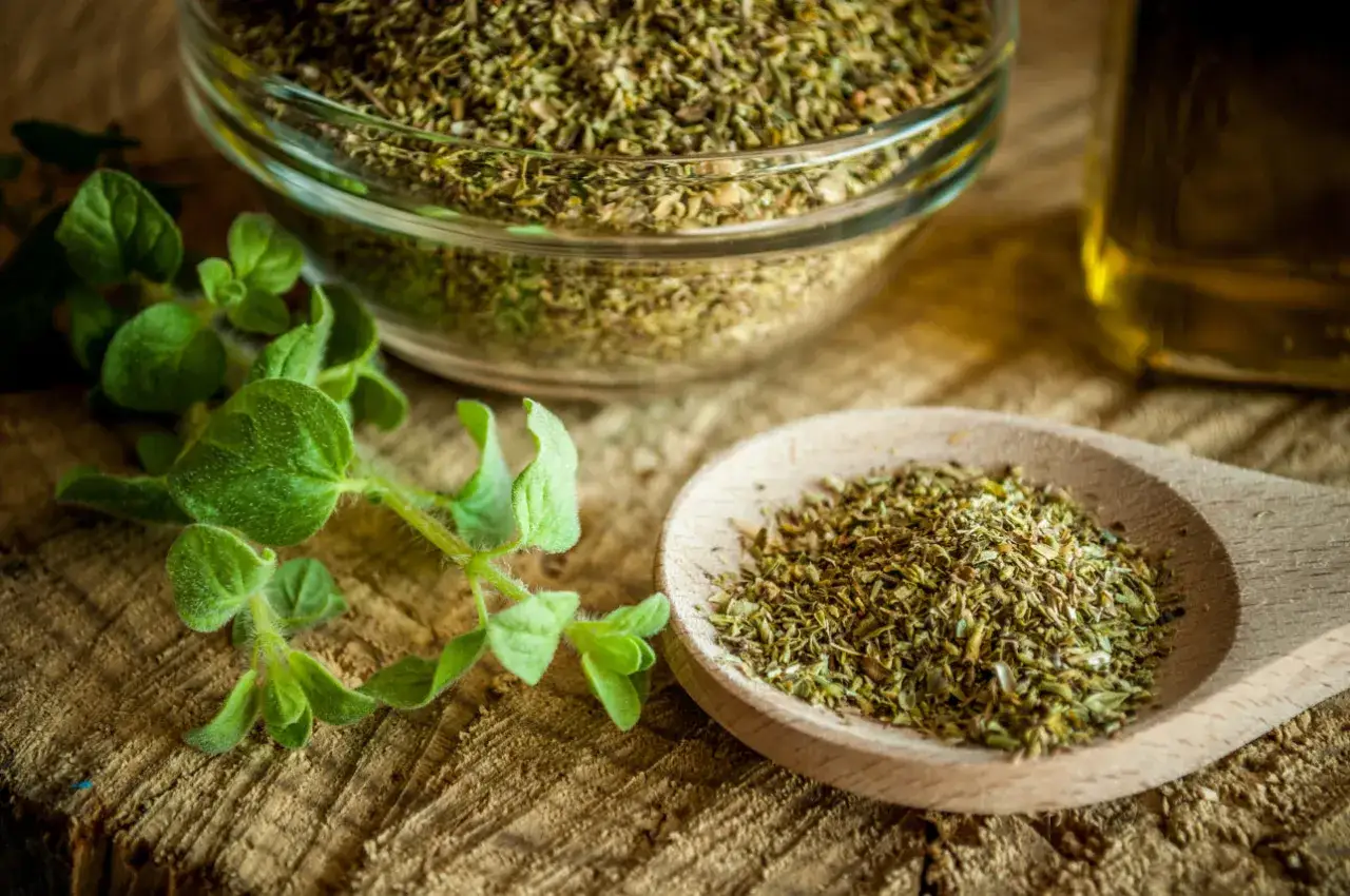 olejek oregano na infekcje