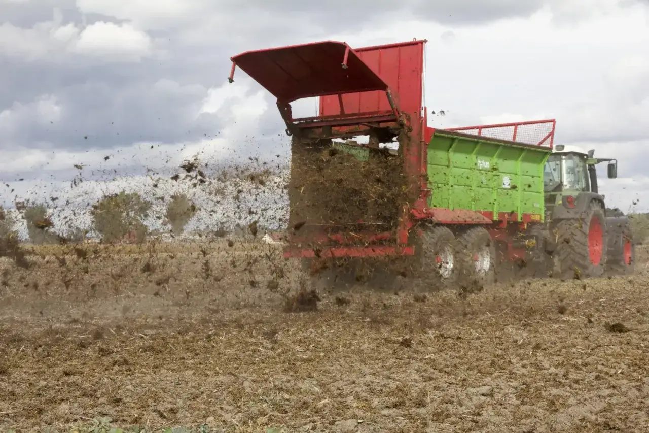 Traktor z przyczepą rozrzuca obornik na polu. To ważny termin wywozu obornika, przygotowujący ziemię do kolejnych upraw.