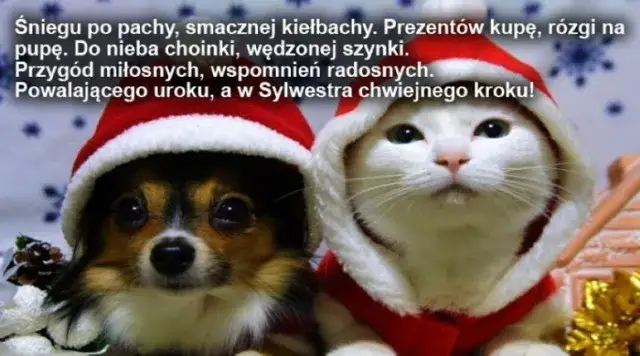 śmieszne życzenia świąteczne memy