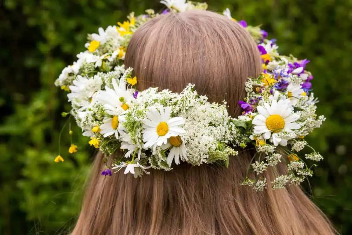 En blomsterkrans av prästkragar, blåklint och små gula blommor pryder en flickas hår. Kransen symboliserar midsommar betydelse och sommarens ankomst.