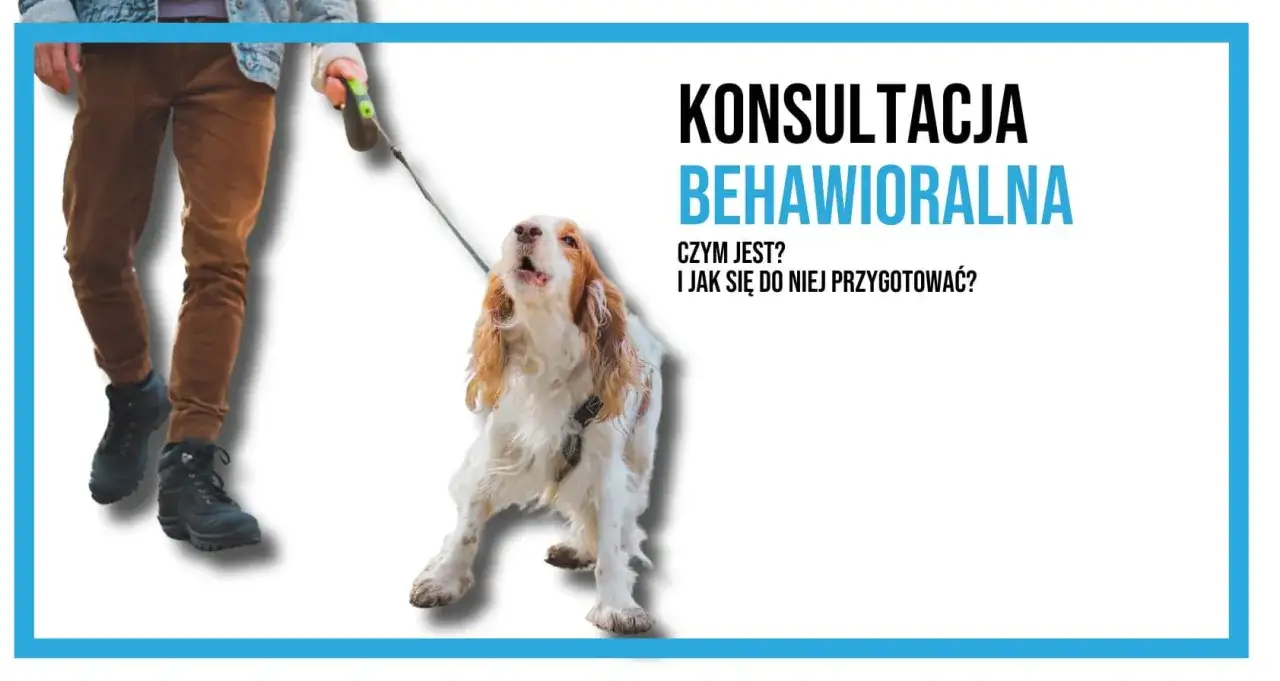 Konsultacja behawioralna dla psa: dowiedz się, czym jest i jak się przygotować. Pomoc dla Twojego pupila.