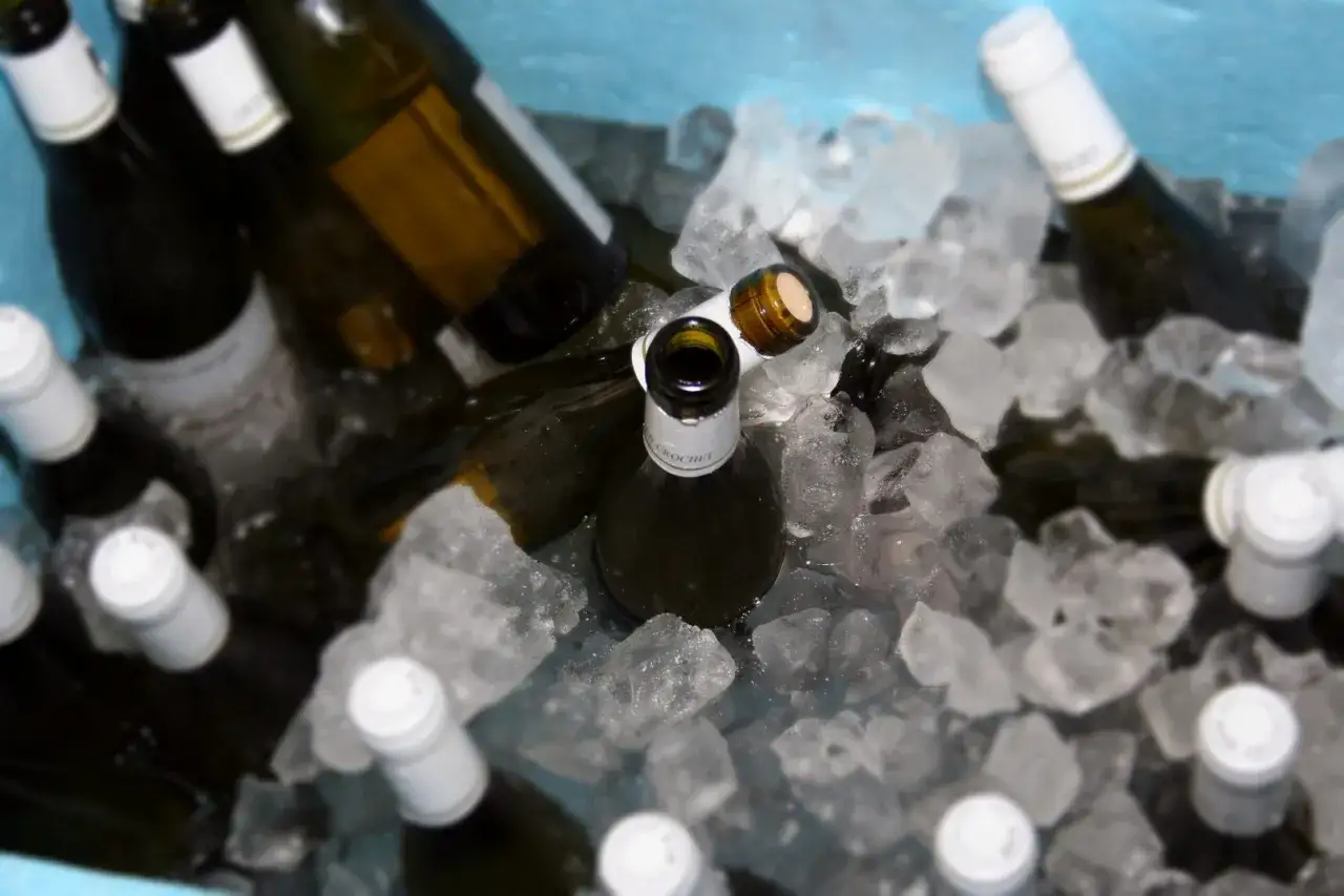 Flaschen Wein in Eis gek&uuml;hlt. Wann gefriert Wein? Bei dieser Temperatur wohl noch nicht, aber er wird sch&ouml;n kalt.