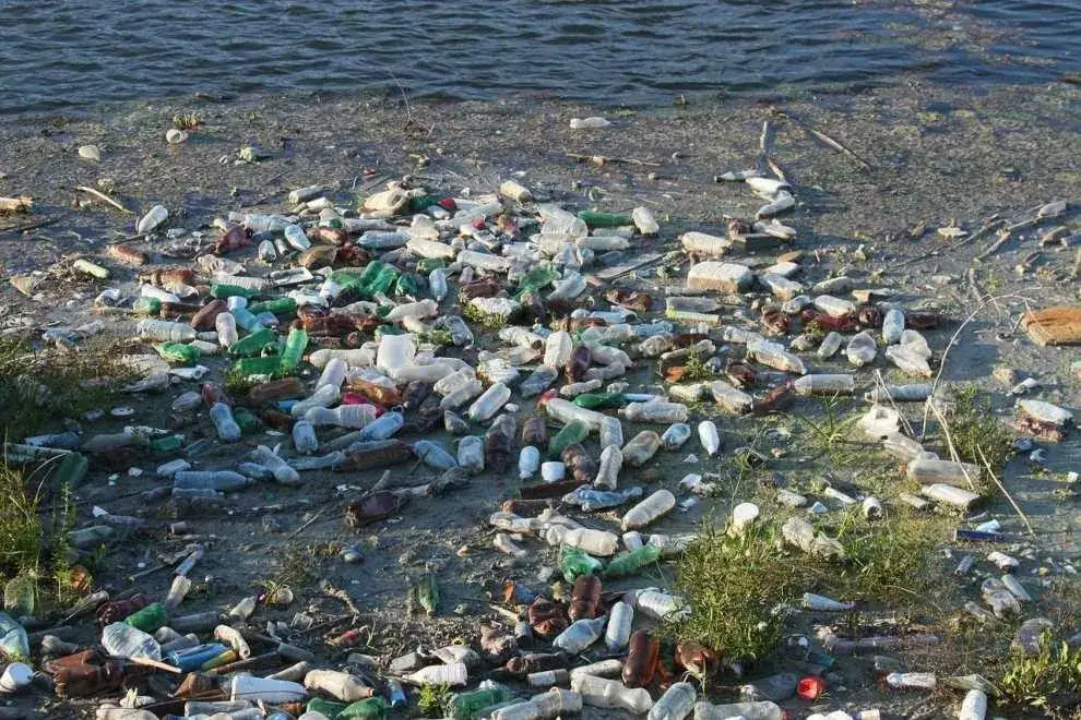Zanieczyszczenia Bałtyku mikroplastik metale ciężkie