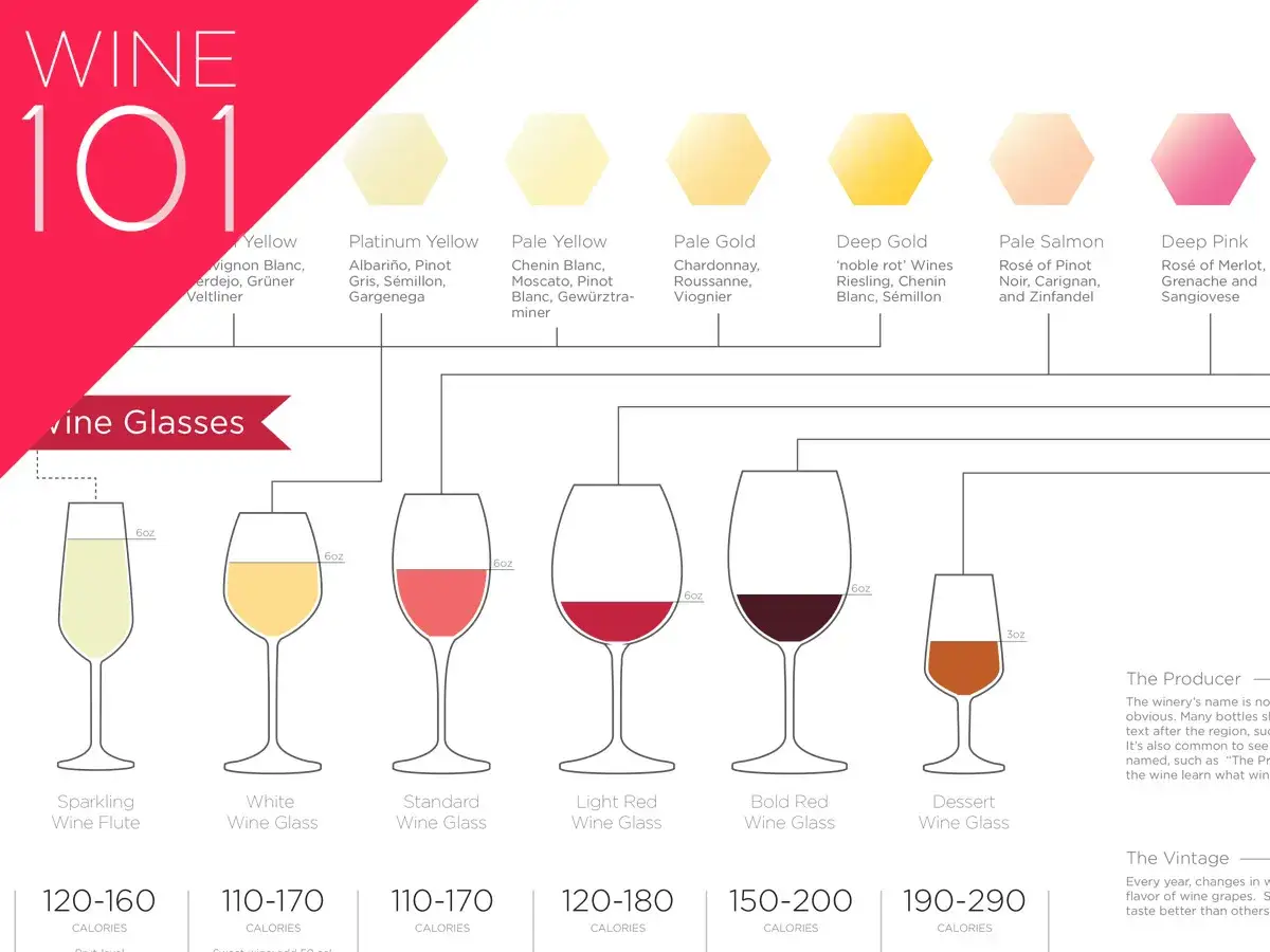 Guide visuel des verres à vin et des couleurs de vin. Apprenez quel type de vin va avec quel verre.