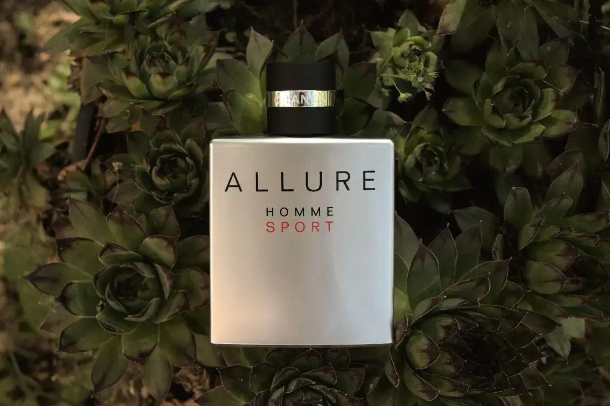 Perfumy Allure Homme Sport Chanel, otoczone soczystymi, zielonymi sukulentami. Zapach wolności i energii.