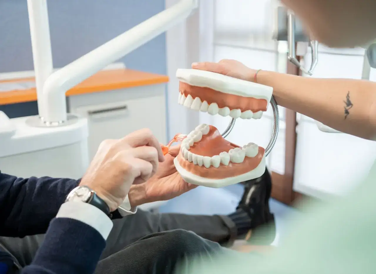 Un dentista mostra come lavare i denti su un modello. Dopo la pulizia dei denti si può mangiare senza pensieri.