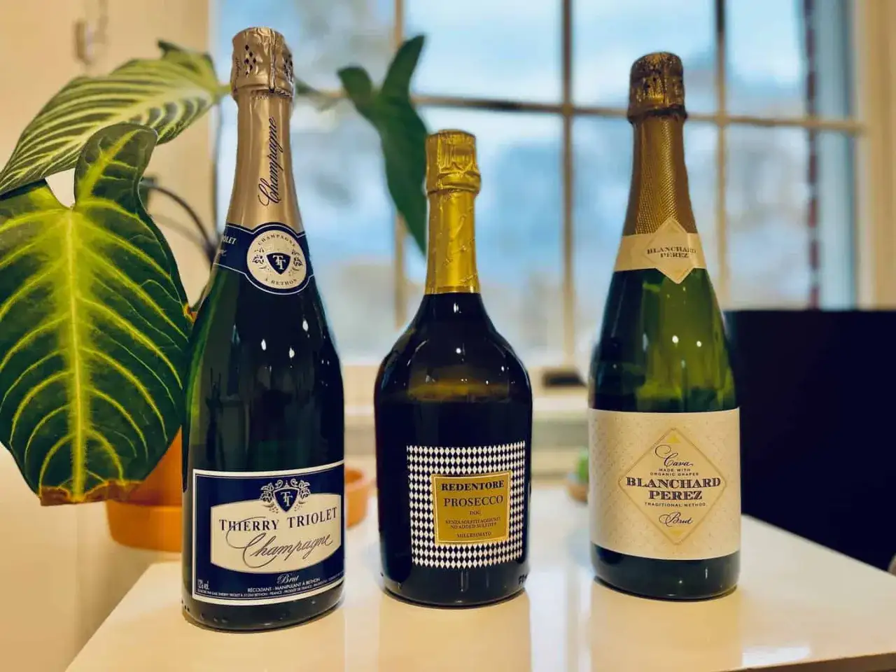 Trzy butelki wina musującego: Thierry Triolet Champagne, Redentore Prosecco i Blanchard Perez Cava. Czy wino musujące to szampan? Tylko ten pierwszy.