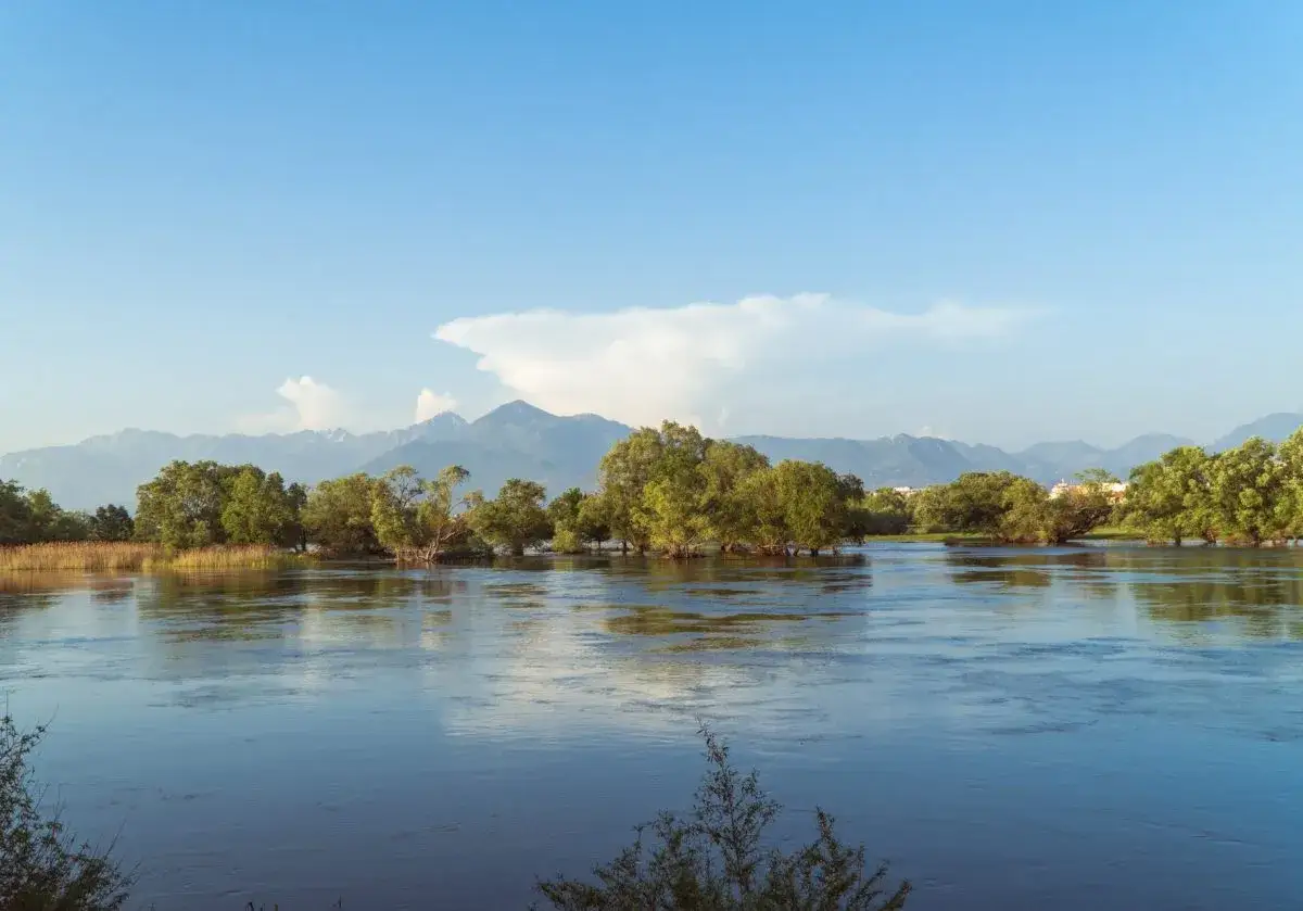 Albania, listopad. Pogoda sprzyja spacerom nad rzeką, gdzie drzewa zanurzone w wodzie tworzą malowniczy krajobraz.