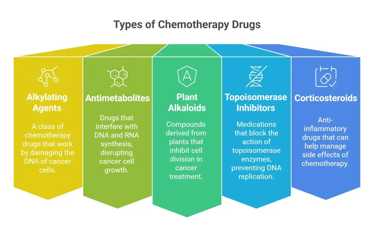 Übersicht über welche Arten von Chemotherapie es gibt: Alkylierende Mittel, Antimetabolite, Pflanzenalkaloide, Topoisomerase-Inhibitoren und Kortikosteroide.