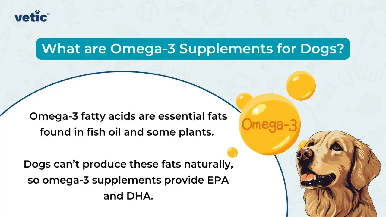 En glad hund tittar upp mot en stor Omega-3-droppe. Texten förklarar att fiskolja är bra för hundar.