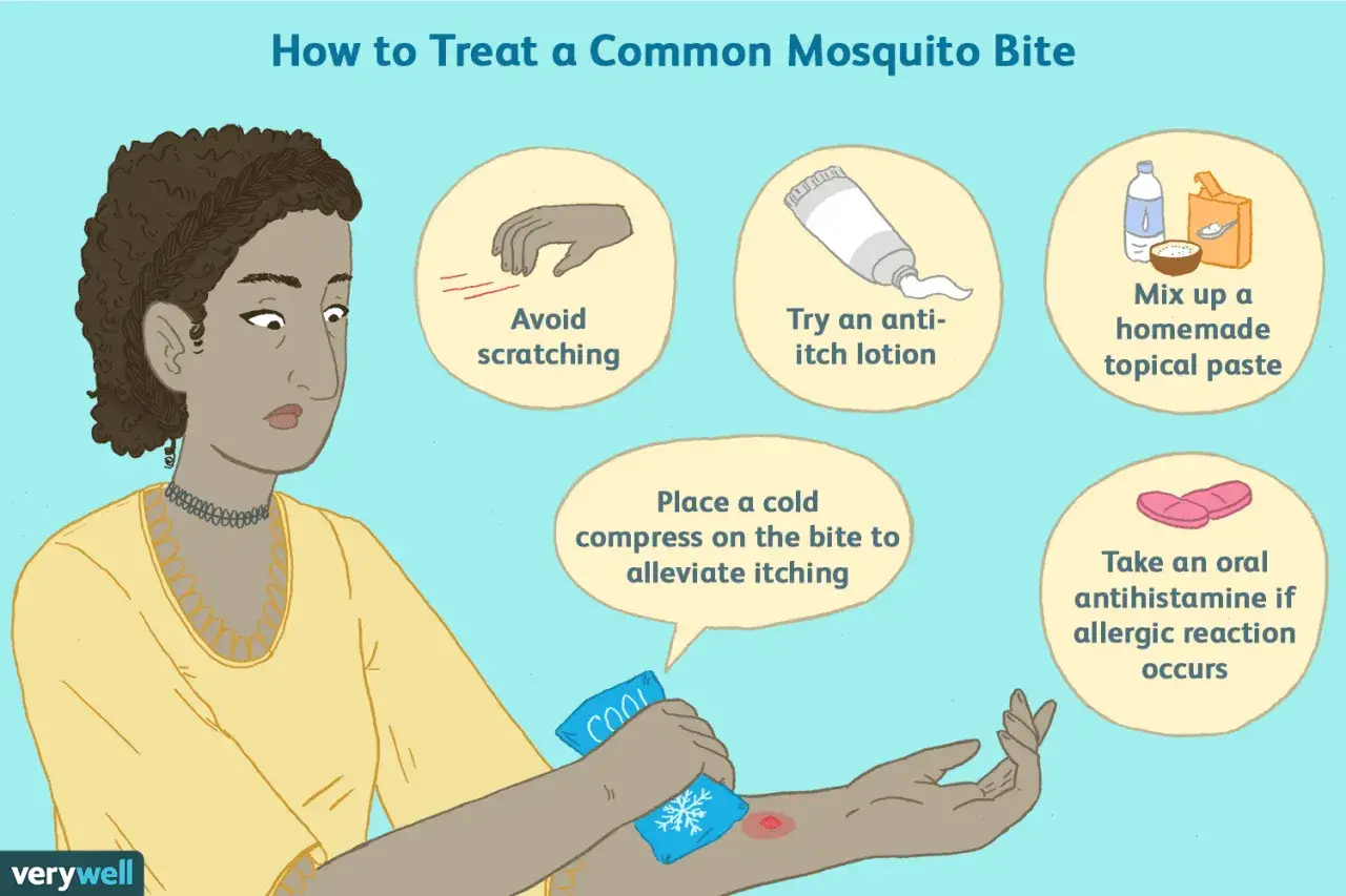 Conseils pour soigner une piqure moustique : ne pas gratter, appliquer une lotion, une compresse froide, ou une p&acirc;te maison. Antihistaminique si r&eacute;action allergique.