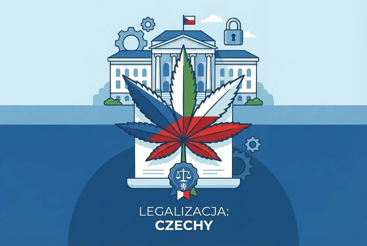 Grafika symbolizująca debatę prawną nad tym, czy marihuana jest legalna w Czechach. Liść konopi z flagą Czech na tle budynku rządowego.