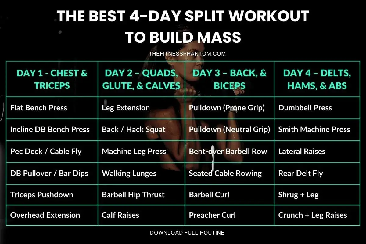 Programme musculation prise de masse : un plan d'entra&icirc;nement sur 4 jours pour le volume, ciblant poitrine, triceps, cuisses, dos, biceps, &eacute;paules, ischios et abdos.