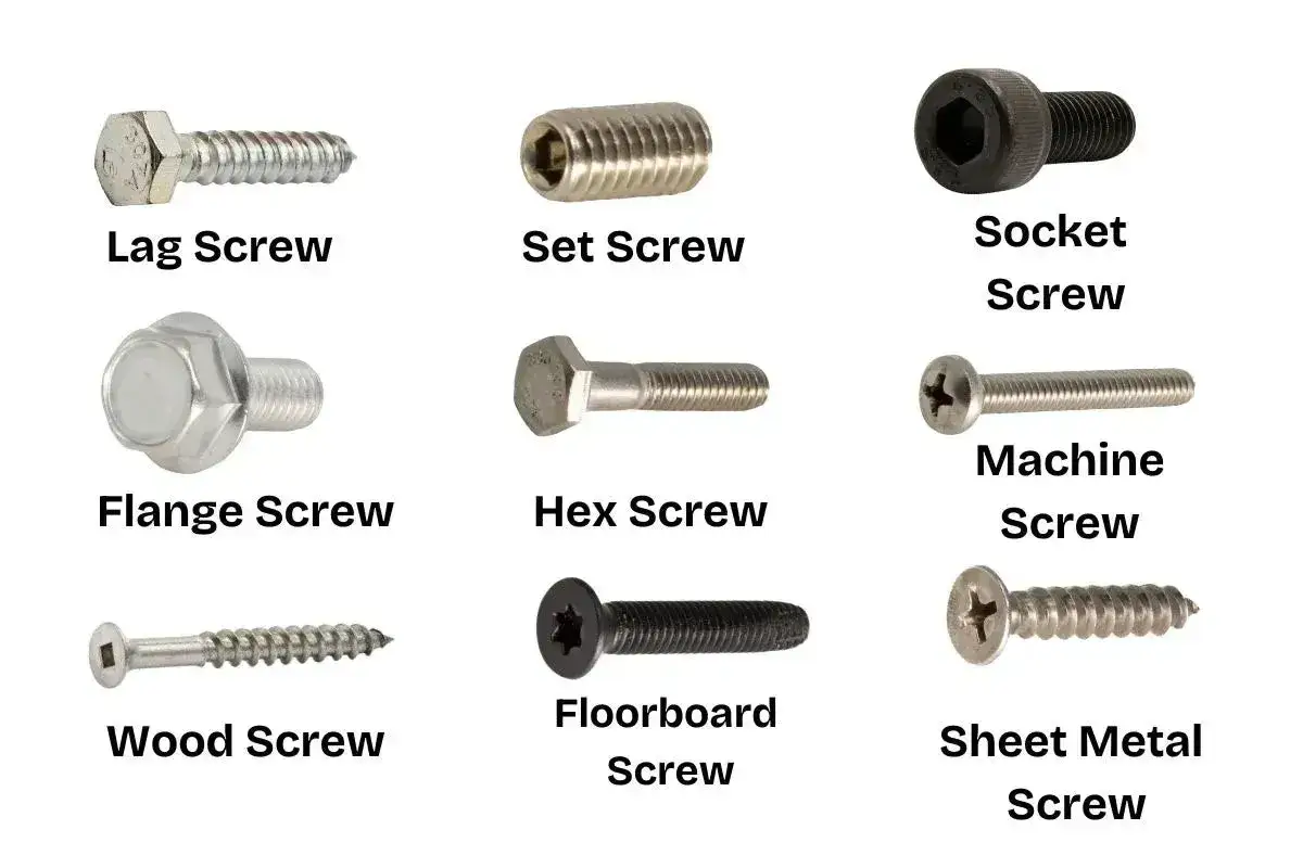 Nio olika skruvar visas, inklusive lag, set, socket, flange, hex, machine, wood, floorboard och sheet metal skruvar.