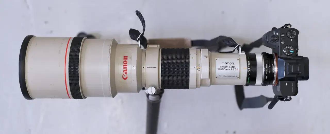 A Canon FD 500mm f/4.5 L lens, considered by many to be the best Canon FD lens, is attached to a modern mirrorless camera.